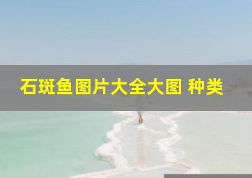 石斑鱼图片大全大图 种类